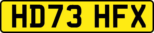 HD73HFX