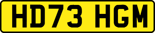 HD73HGM