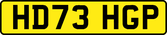HD73HGP