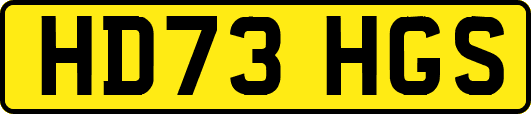 HD73HGS