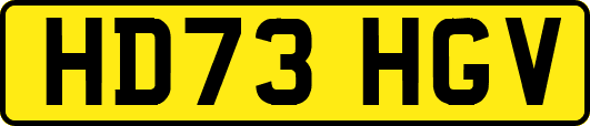 HD73HGV