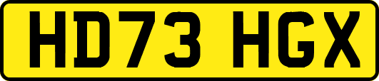 HD73HGX