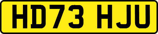 HD73HJU