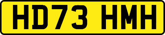 HD73HMH