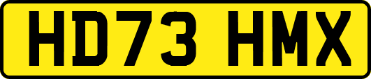HD73HMX