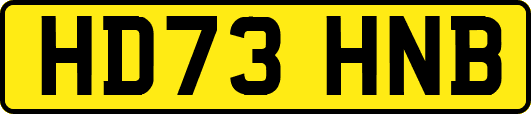 HD73HNB