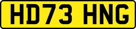 HD73HNG
