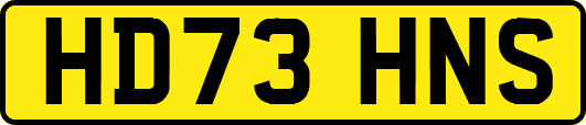 HD73HNS