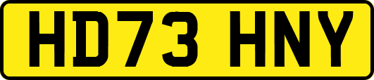 HD73HNY