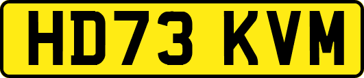 HD73KVM