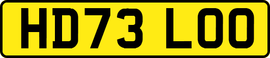 HD73LOO
