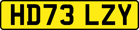HD73LZY