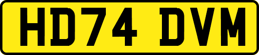 HD74DVM