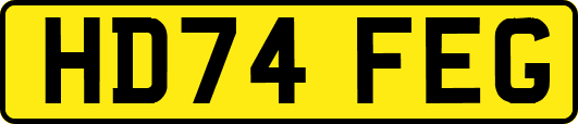 HD74FEG