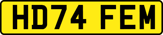 HD74FEM