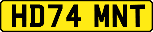HD74MNT
