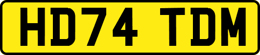 HD74TDM