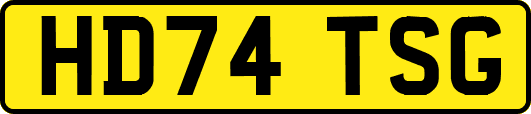 HD74TSG