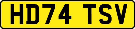HD74TSV