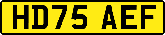 HD75AEF