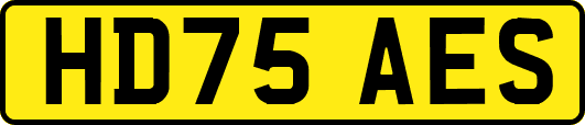 HD75AES