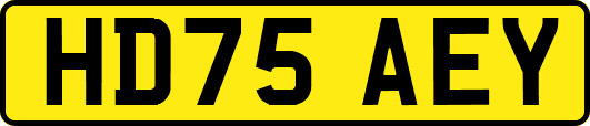 HD75AEY