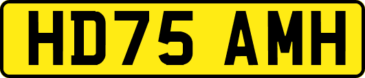 HD75AMH
