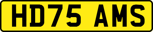 HD75AMS