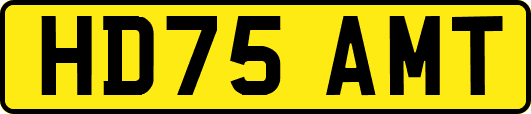 HD75AMT