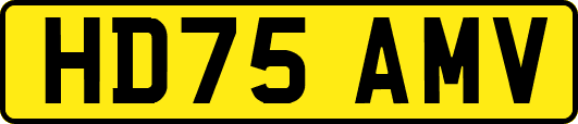 HD75AMV