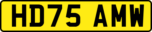 HD75AMW