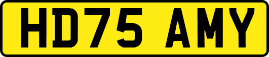 HD75AMY