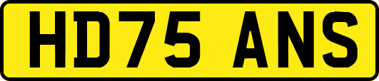 HD75ANS