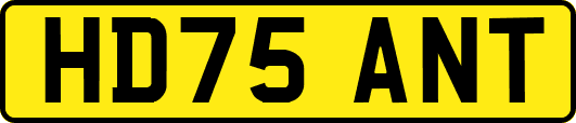 HD75ANT