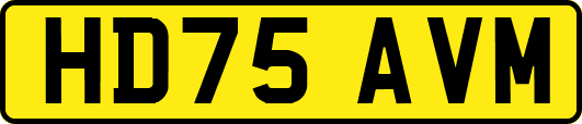 HD75AVM
