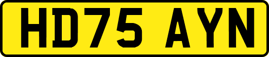 HD75AYN