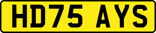 HD75AYS