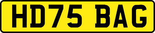 HD75BAG