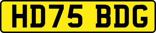 HD75BDG