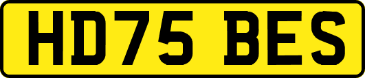 HD75BES