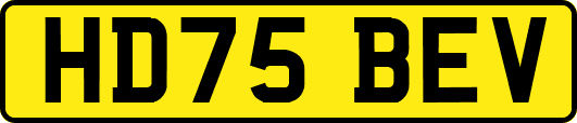 HD75BEV