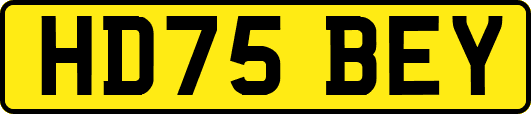 HD75BEY
