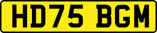 HD75BGM