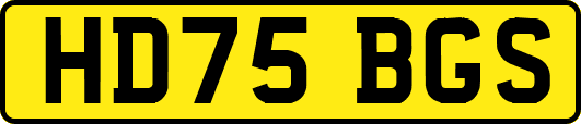 HD75BGS