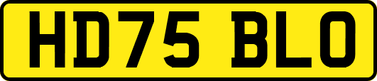 HD75BLO