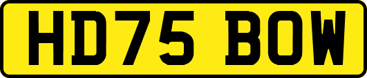 HD75BOW