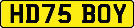 HD75BOY