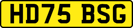 HD75BSG