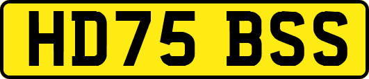HD75BSS
