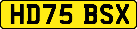 HD75BSX